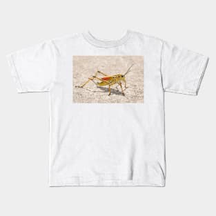 Romalea microptera, Florida lubber grasshopper Kids T-Shirt